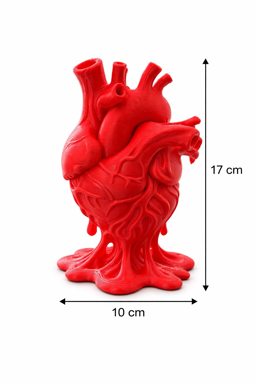 Enfeite Coração Decoração Clinica Cardiologista Estudo Universitário